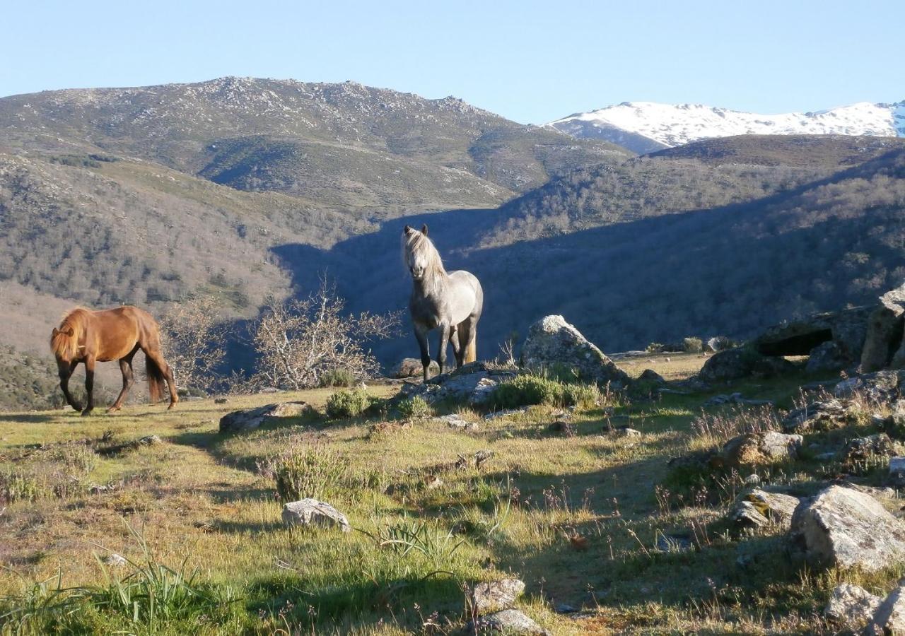 Casa Sebastiana Lägenhet Losar De La Vera Exteriör bild